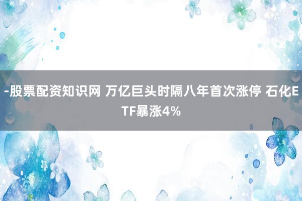 -股票配资知识网 万亿巨头时隔八年首次涨停 石化ETF暴涨4%