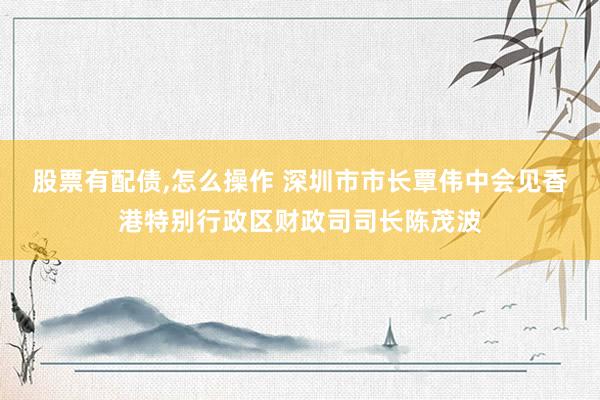 股票有配债,怎么操作 深圳市市长覃伟中会见香港特别行政区财政司司长陈茂波