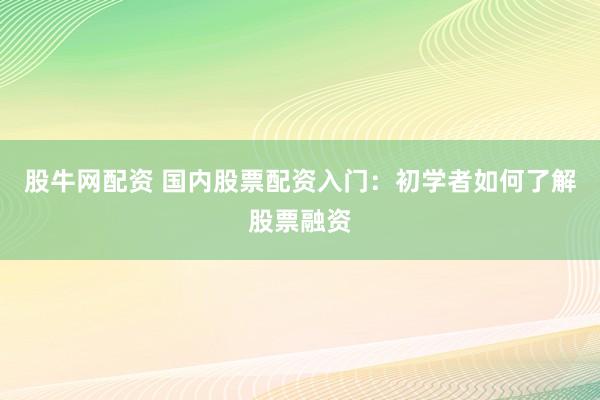 股牛网配资 国内股票配资入门：初学者如何了解股票融资